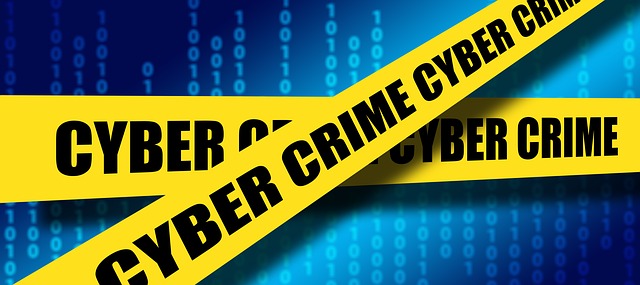 cyber crime and safety